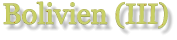 Bolivien (III)