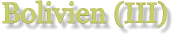Bolivien (III)