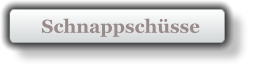Schnappschsse