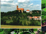 Blick auf den Sch�nenberg