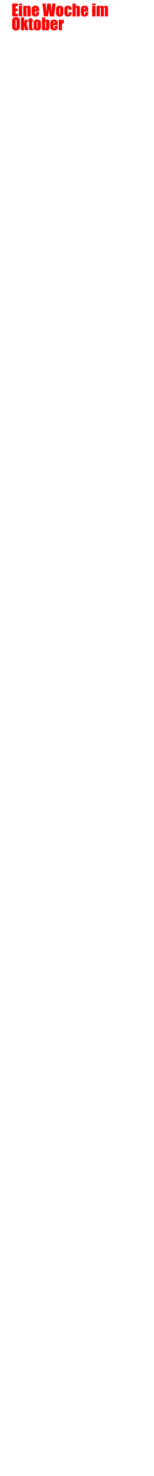 Eine Woche im      Oktober     Das tgliche Massaker 1  15.10.2019 13 Polizisten in einem Hinterhalt im Bundesstaat Michoacn gettet              Das tgliche Massaker 2  16.10.2019  14 bewaffnete Mnner und ein Soldat sterben bei einer Auseinandersetzung                Sieben von zehn fhlen sich gefhrdet  17.10.2019  Geringe Wahrnehmung von Sicherheit in den Stdten                    Zwei Drogenlabore demontiert 23.10.2019 837 Personen der Streitkrfte nahmen teil, zweieinhalb Tonnen Marihuana, 20kg Kokain und 4kg Amphetamine wurden gefunden, ebenso verschiedene Waffen, darunter ein Raketenwerfer, sowie ein Drogentunnel.