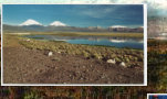 Parinacota und Pomerape (Mrz 2004)