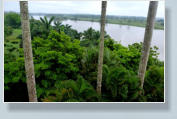 Blick vom HOTEL SANTA LUISA FINCA-RESORT auf den Rio Tecolutla
