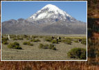  Sajama mit Tieren
