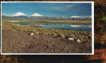 Parinacota und Pomerape (M�rz 2004)