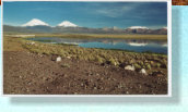 Parinacota und Pomerape (M�rz 2004)