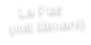 La Paz  (mit Illimani)