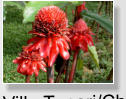 Villa Tunari/Chapare (2003)