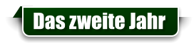 Das zweite Jahr