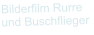 Bilderfilm Rurre und Buschflieger