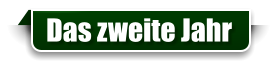 Das zweite Jahr