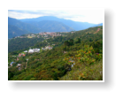 Coroico