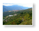Coroico